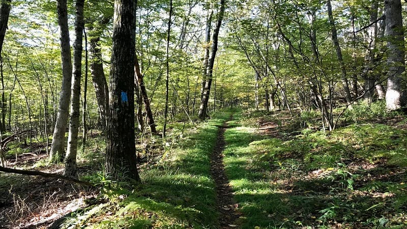 Crescent Rock Trail