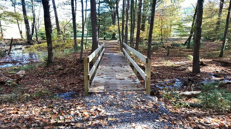 Douthat State Park-Bridge to Dam Waterfall