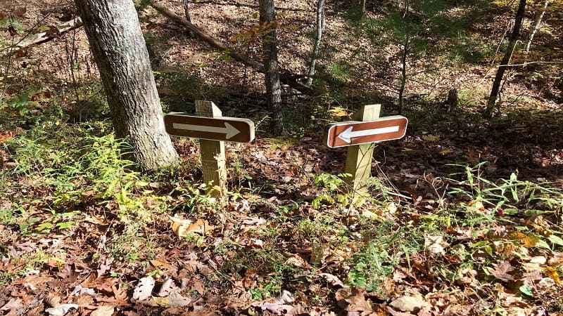 Douthat State Park-Double Arrow Signs