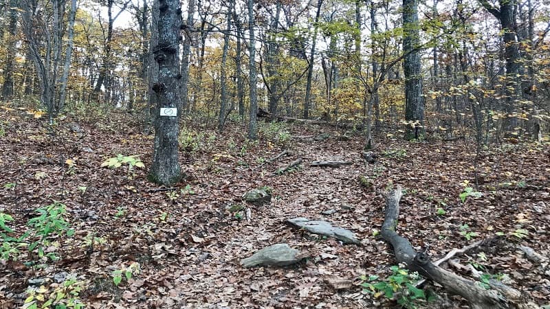 Dripping Rock South-Appalachian Trail