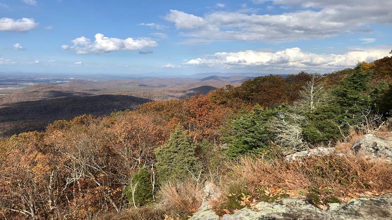 Dripping Rock South-Elbow Overlook