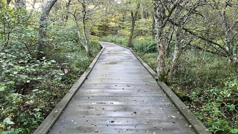 skyline drive trails near me