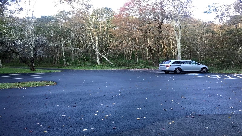 Parking area for the Limberlost Trail at milepost 44