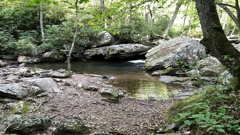 A Watering Hole on Little Stony Creek
