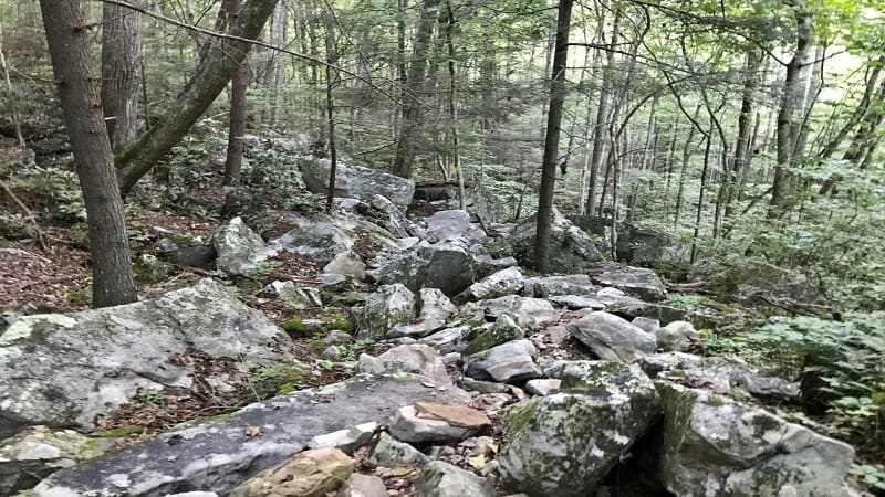 Little Stony Falls Trail-Rock Scramble