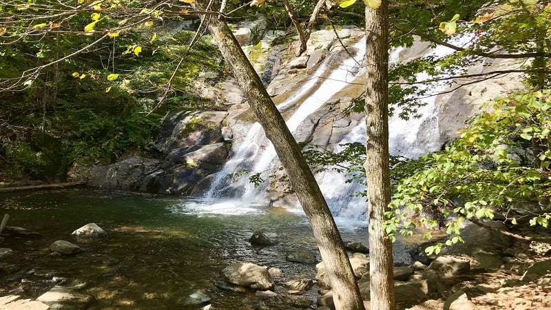 Swimming Hole at Lower Whiteoak Canyon Falls