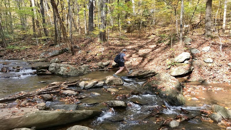 Pauls Creek-Water Crossing