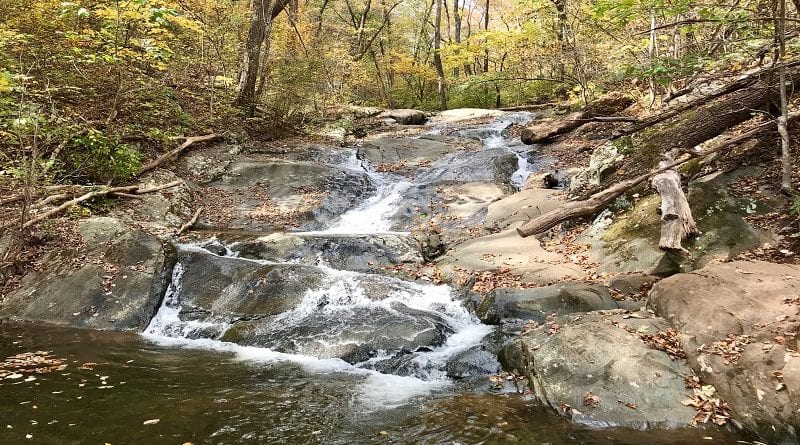 Best Hiking Near Staunton, Virginia | Paul's Creek Trail
