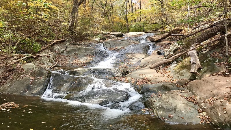 Paul's Creek Trail at Wintergreen Resort