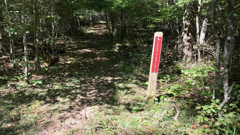 Pinnacle Natural Area Preserve-Copper Ridge Trailhead