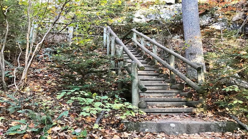 Roaring Run Falls-Stairs to Upper View