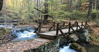 Take a hike to experience the best fall foliage in Virginia | best fall hikes in Virginia | fall colors in Virginia | fall activities in Virginia | fall leaves Virginia | fall hikes in Virginia