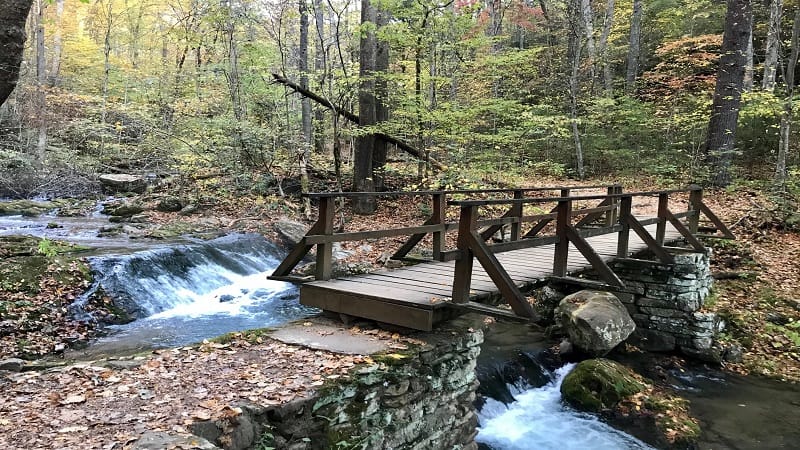 Roaring Run-First Bridge