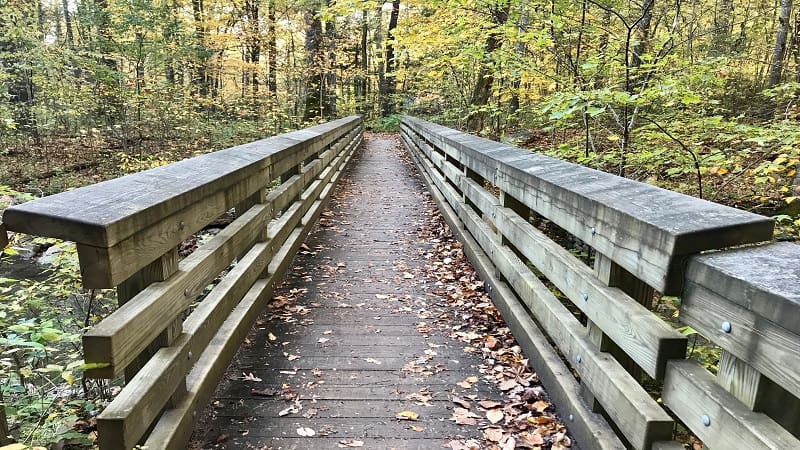 Roaring Run-Trail Bridge Just Past Iron Furnace