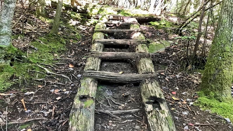 Sand Cave: Hike to a Secret Cave & White Rocks Overlook