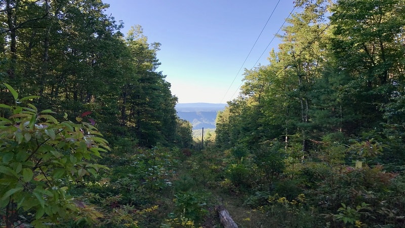 A Scenic Powerline Vista on the Brumley Mountain Trail