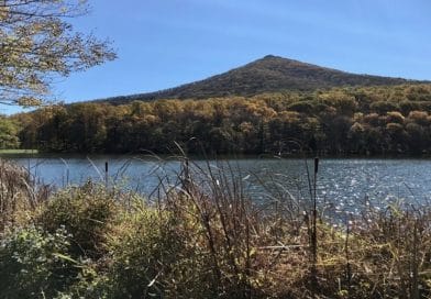 Sharp Top Trail | Sharp Top Mountain