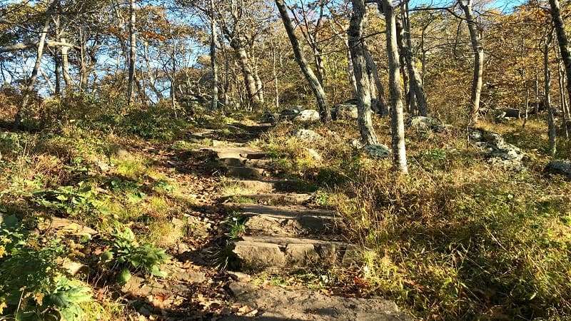 Stone steps on the way to the top of Sharp Top