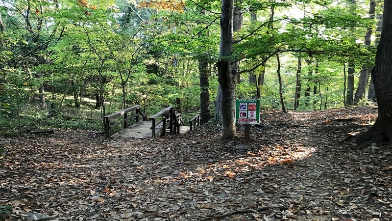 Texas Beach Trail-First Steps