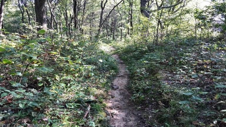 Sand Cave: Hike to a Secret Cave & White Rocks Overlook