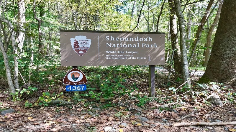 White Oak Canyon Trail A Scenic Hike To Lower Falls