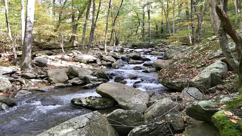 Robinson River on Whiteoak Canyon Trail