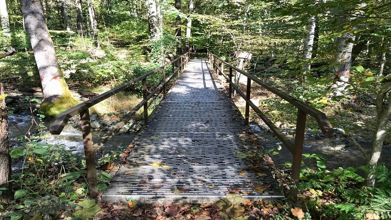 First Bridge on Whiteoak Canyon Trail