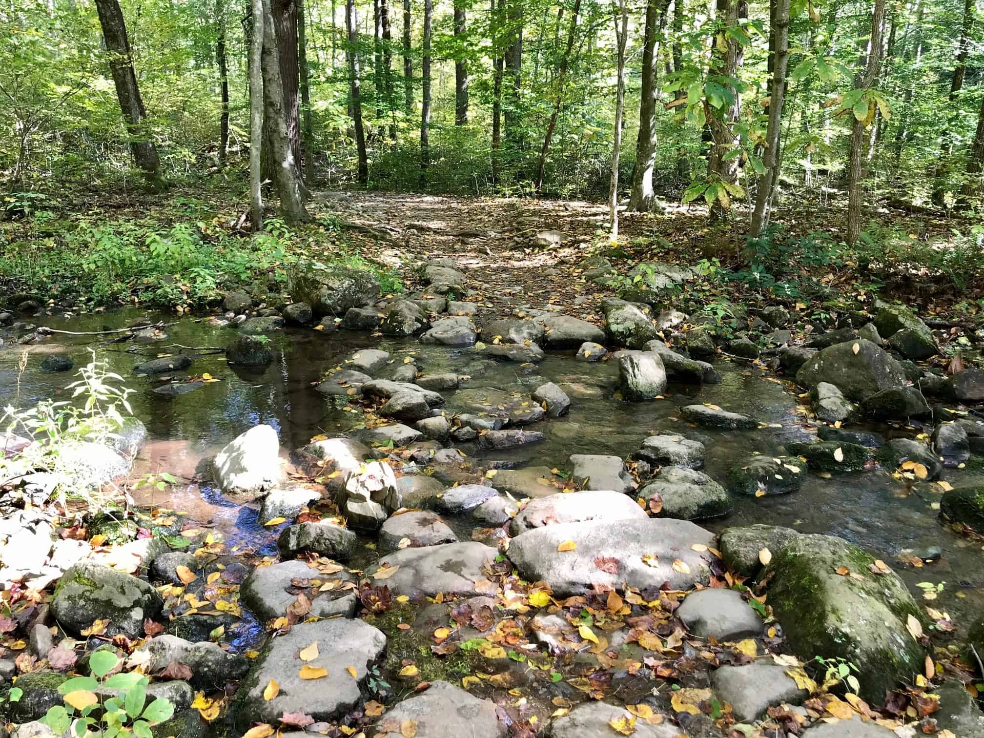 First Water Crossing on White Oak Canyon Trail