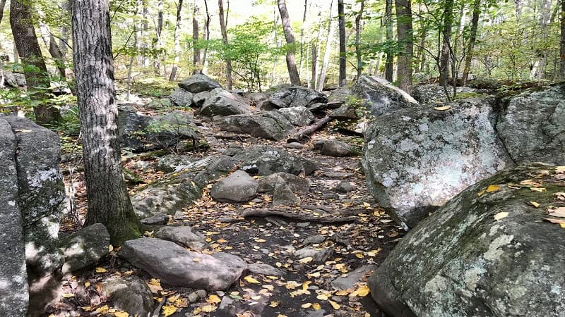 Giant Rocks on White Oak Canyon Trail