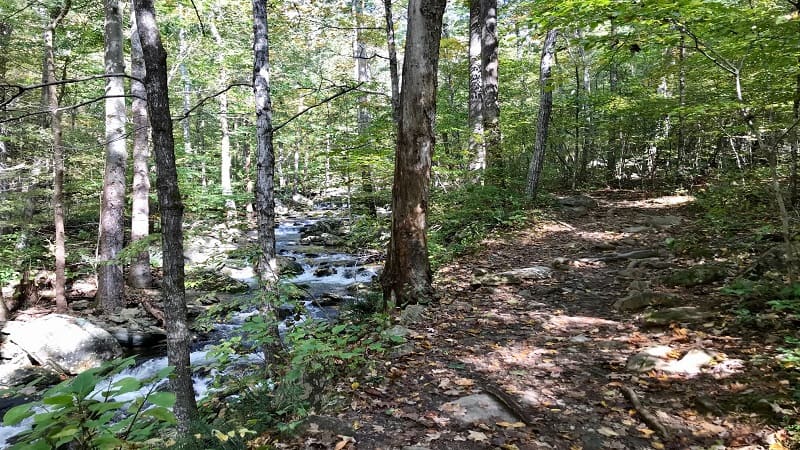 Whiteoak Canyon Trail