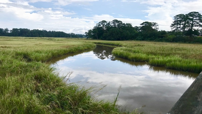 Windsor Castle Park-Saltwater Marsh