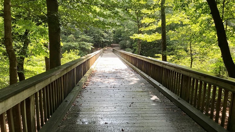 Windsor Park Boardwalk Trail