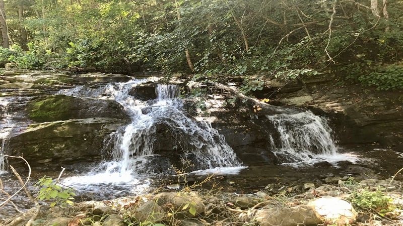 Pinnacle Natural Area Preserve, We enjoy the 1 mile walk al…