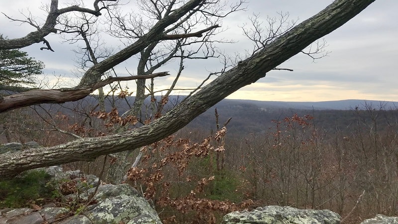 Buzzard Hill Overlook Views Near Bluemont