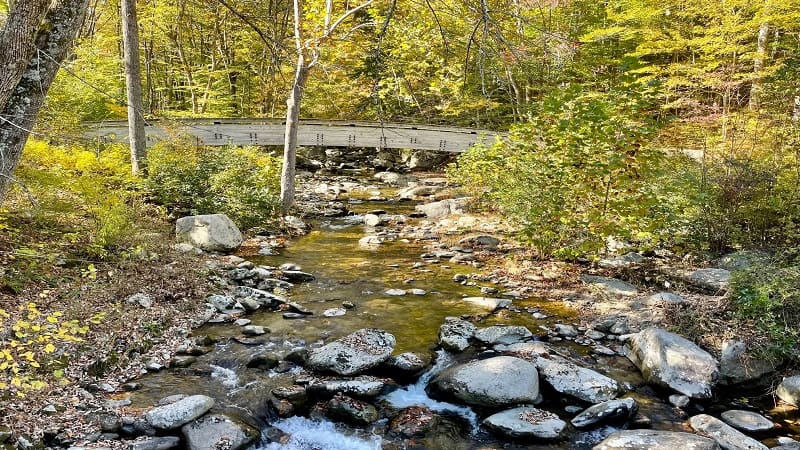 Bridge Over the Tye River at Crabtree Falls Day Use Area in Virginia