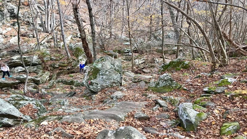 Shamokin Falls Rock Scramble