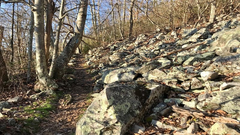 Turk Mountain-Talus Slope