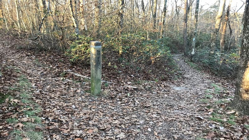 Turk Mountain-Trail Marker