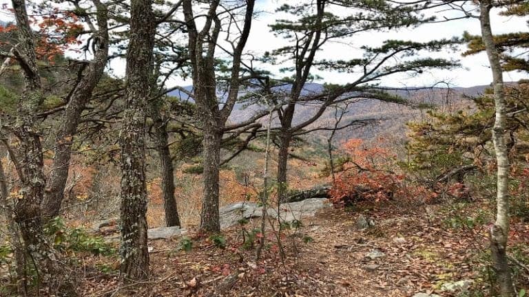 White Rock Falls: A Scenic Waterfall Hike Near Waynesboro
