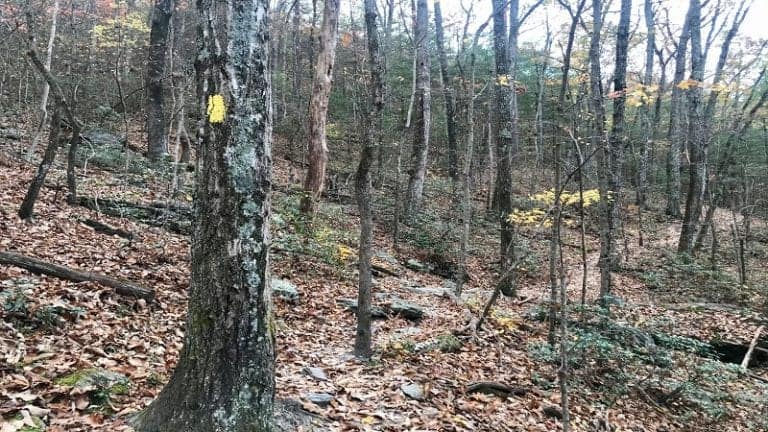 White Rock Falls: A Scenic Waterfall Hike Near Waynesboro