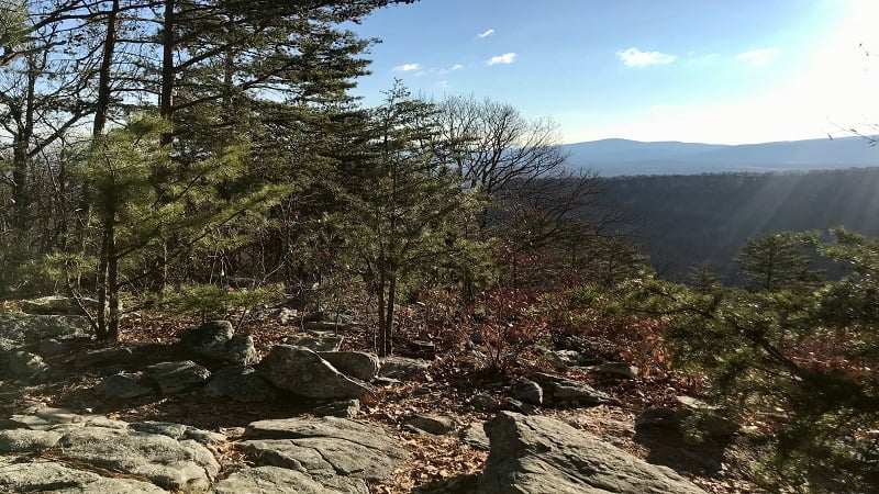 Signal Knob-Buzzard Rock Overlook