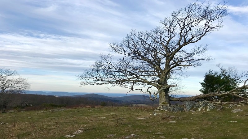 Black Ridge Trail - Views from Rocky Knob Near Floyd, Virginia