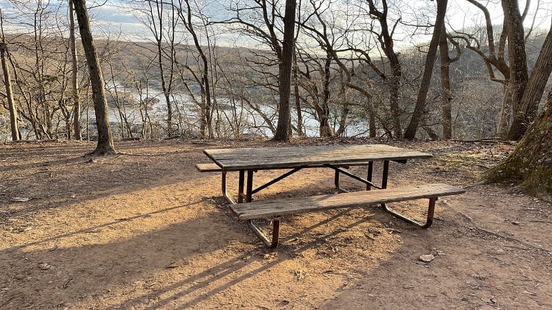 Difficult Run Ridge Trail PIcnic Table