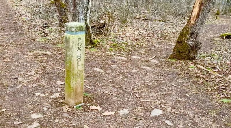 Fox Hollow Trail Marker at Shenandoah National Park
