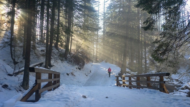 Winter Hiking