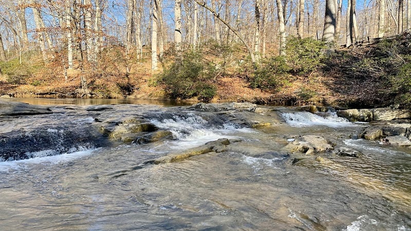 Quantico Cascades