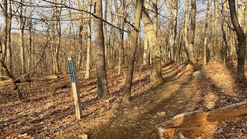 Sky Meadows State Park: This Rewarding Loop Hike Stuns with Far ...