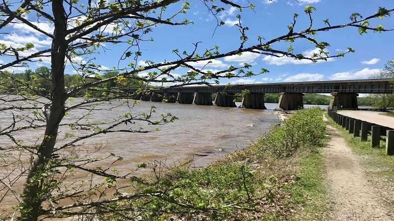 Bridge on Bushey Point Trail