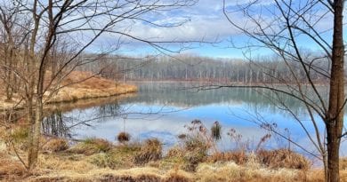 Ragged Mountain Reservoir in Charlottesville, Virginia