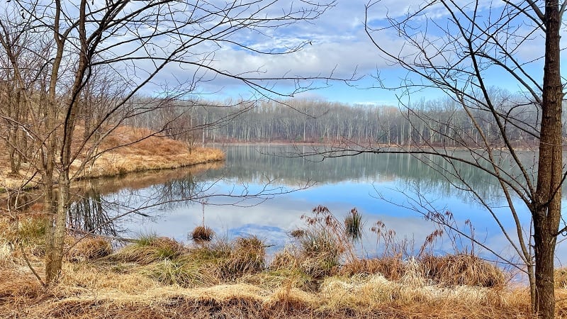 Ragged Mountain Reservoir in Charlottesville, Virginia